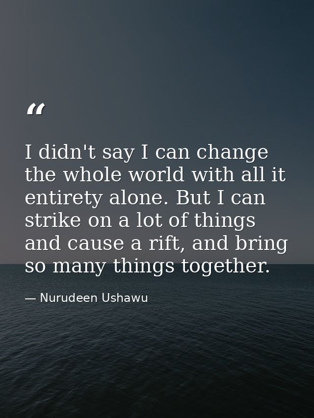 I didn't say I can change the whole world with all it entirety alone. But I can strike on a lot of things and cause a ri — Nurudeen Ushawu