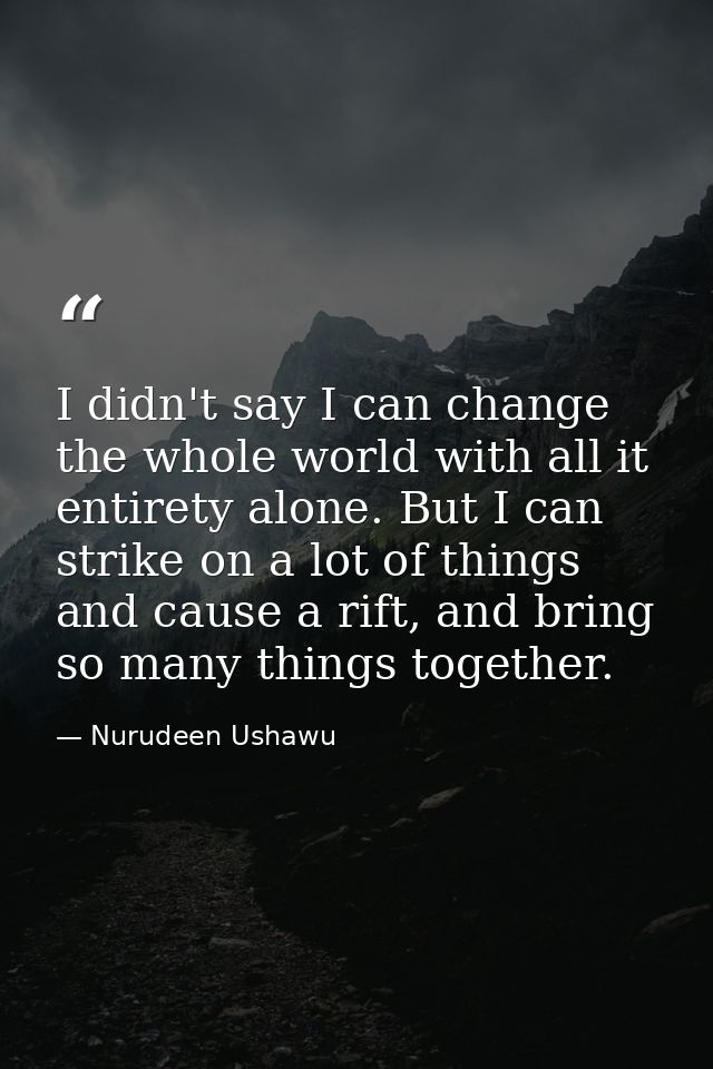 I didn't say I can change the whole world with all it entirety alone. But I can strike on a lot of things and cause a ri — Nurudeen Ushawu