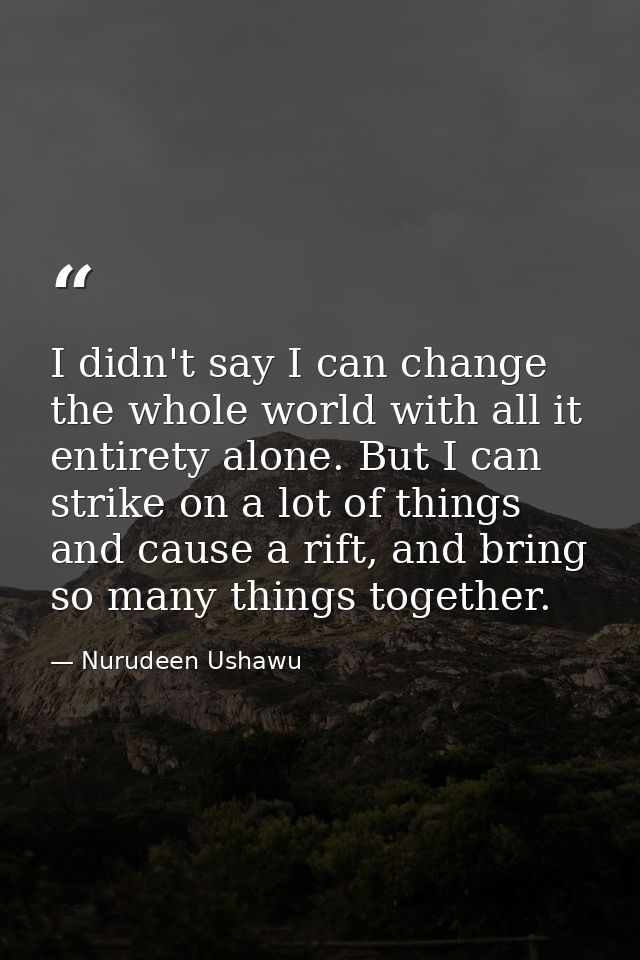 I didn't say I can change the whole world with all it entirety alone. But I can strike on a lot of things and cause a ri — Nurudeen Ushawu