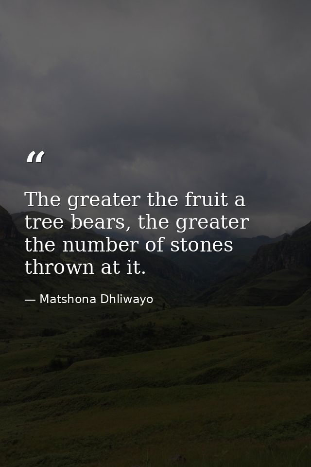 The greater the fruit a tree bears, the greater the number of stones thrown at it. — Matshona Dhliwayo