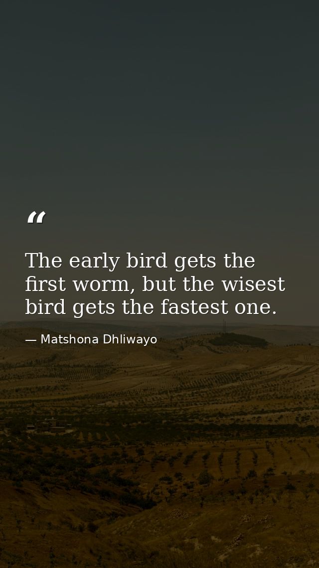 The early bird gets the first worm, but the wisest bird gets the fastest one. — Matshona Dhliwayo
