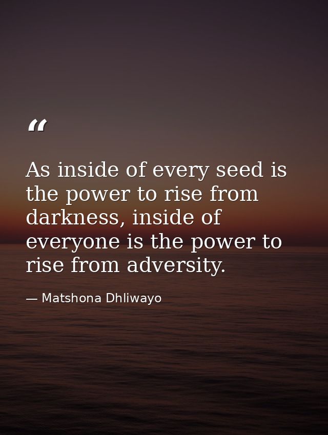 As inside of every seed is the power to rise from darkness, inside of everyone is the power to rise from adversity. — Matshona Dhliwayo