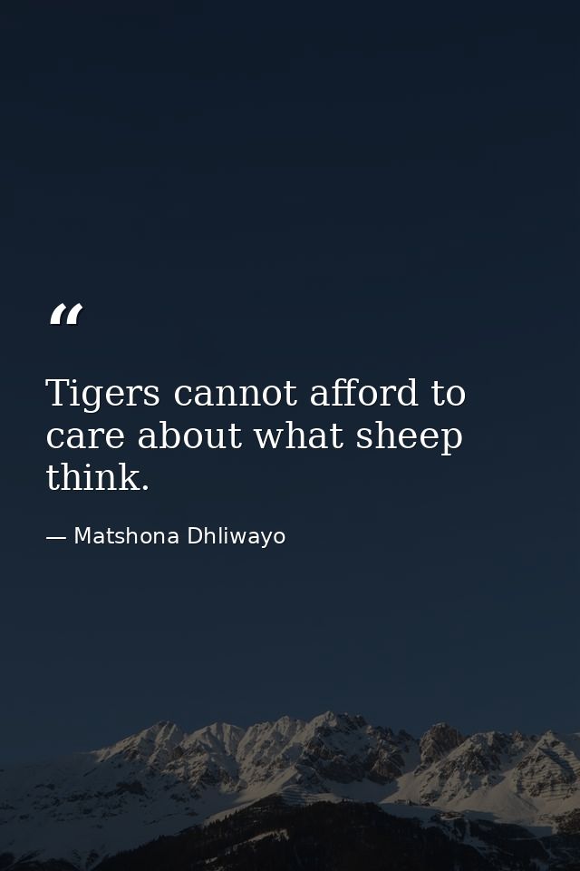 Tigers cannot afford to care about what sheep think. — Matshona Dhliwayo