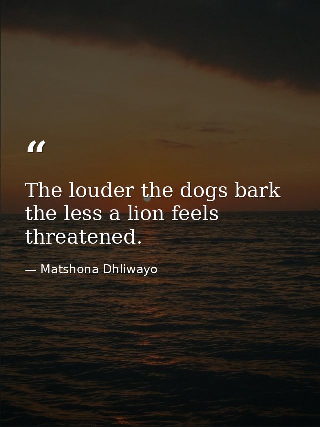 The louder the dogs bark the less a lion feels threatened. — Matshona Dhliwayo