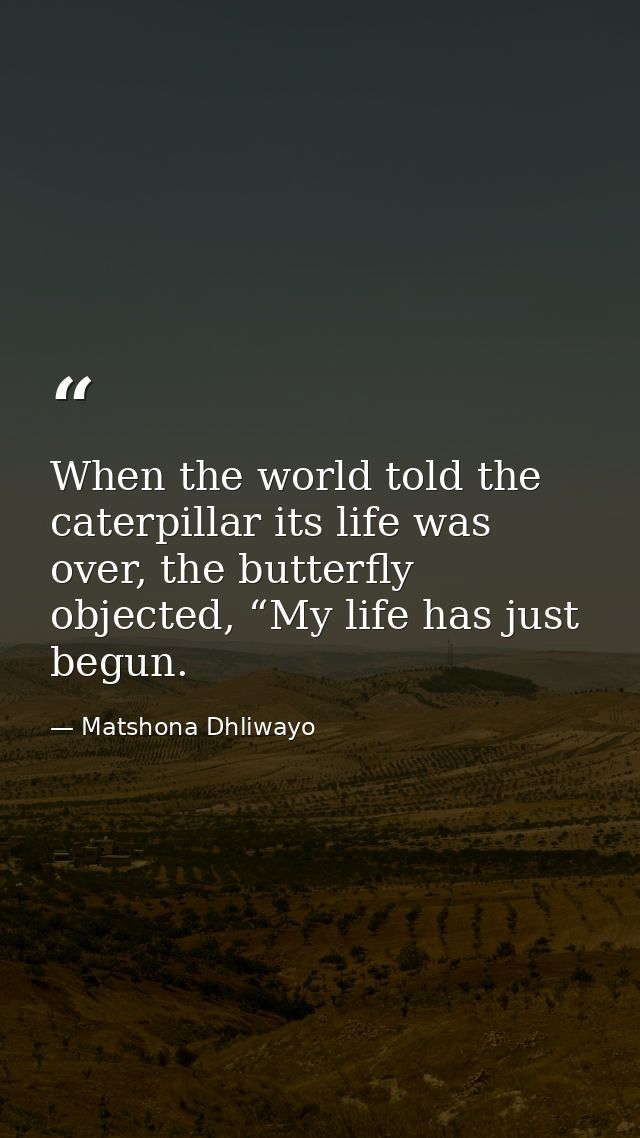 When the world told the caterpillar its life was over, the butterfly objected, “My life has just begun. — Matshona Dhliwayo
