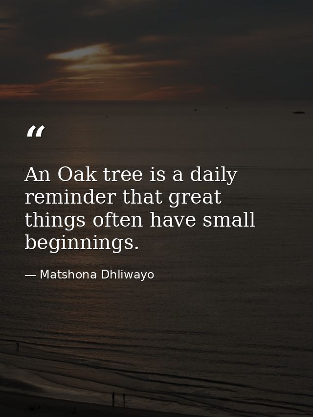 An Oak tree is a daily reminder that great things often have small beginnings. — Matshona Dhliwayo