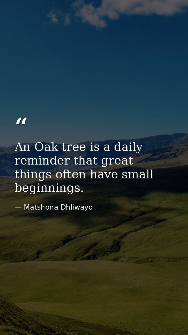 An Oak tree is a daily reminder that great things often have small beginnings. — Matshona Dhliwayo