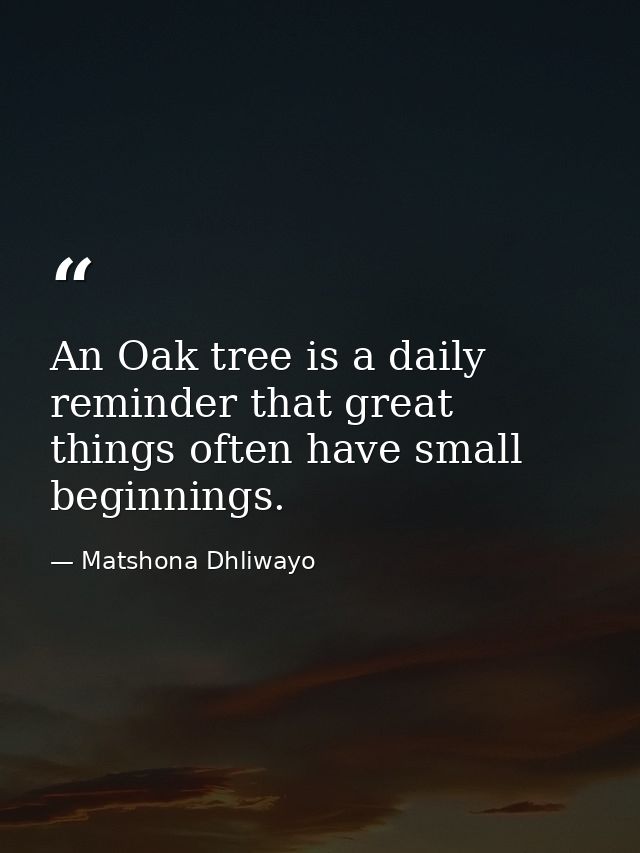 An Oak tree is a daily reminder that great things often have small beginnings. — Matshona Dhliwayo