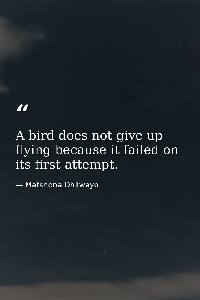 A bird does not give up flying because it failed on its first attempt. — Matshona Dhliwayo