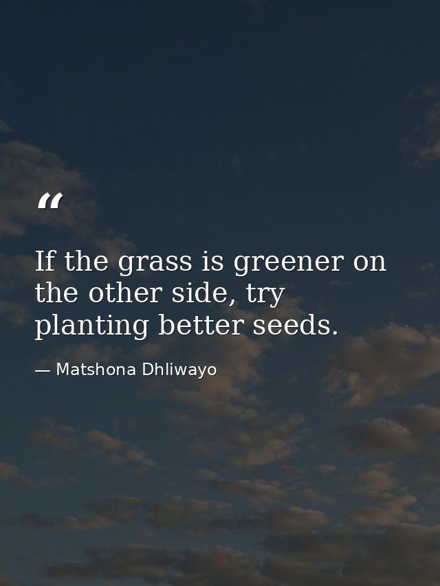 If the grass is greener on the other side, try planting better seeds. — Matshona Dhliwayo