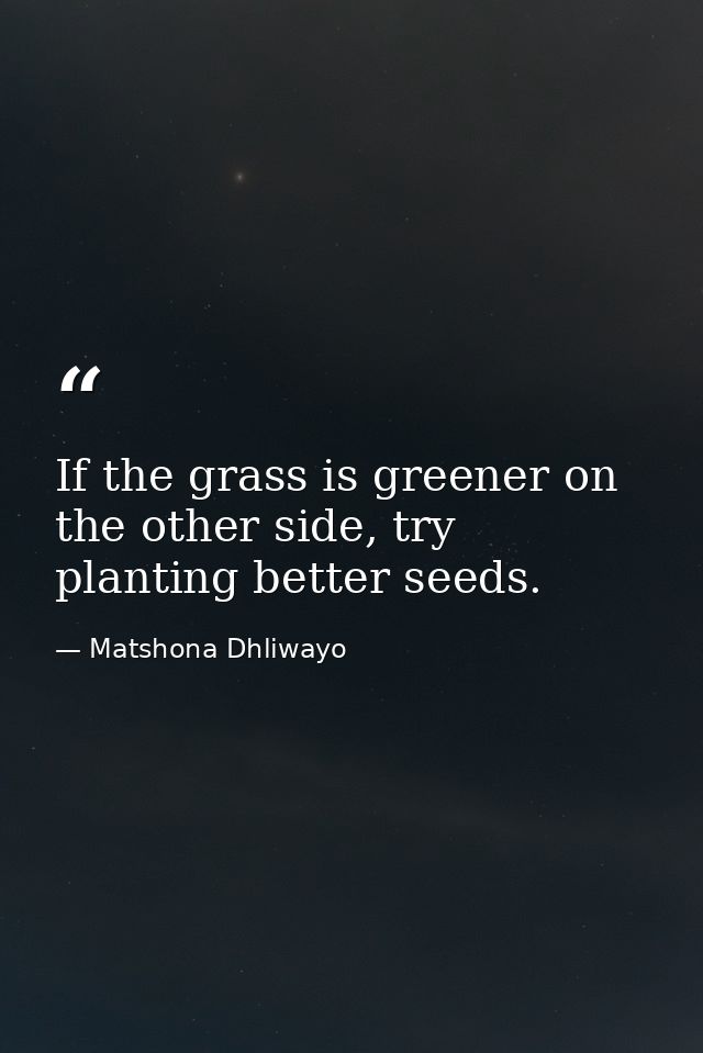If the grass is greener on the other side, try planting better seeds. — Matshona Dhliwayo