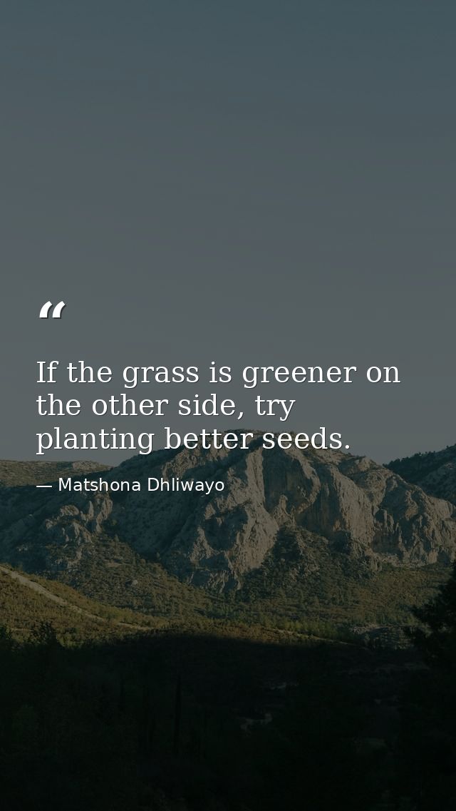 If the grass is greener on the other side, try planting better seeds. — Matshona Dhliwayo