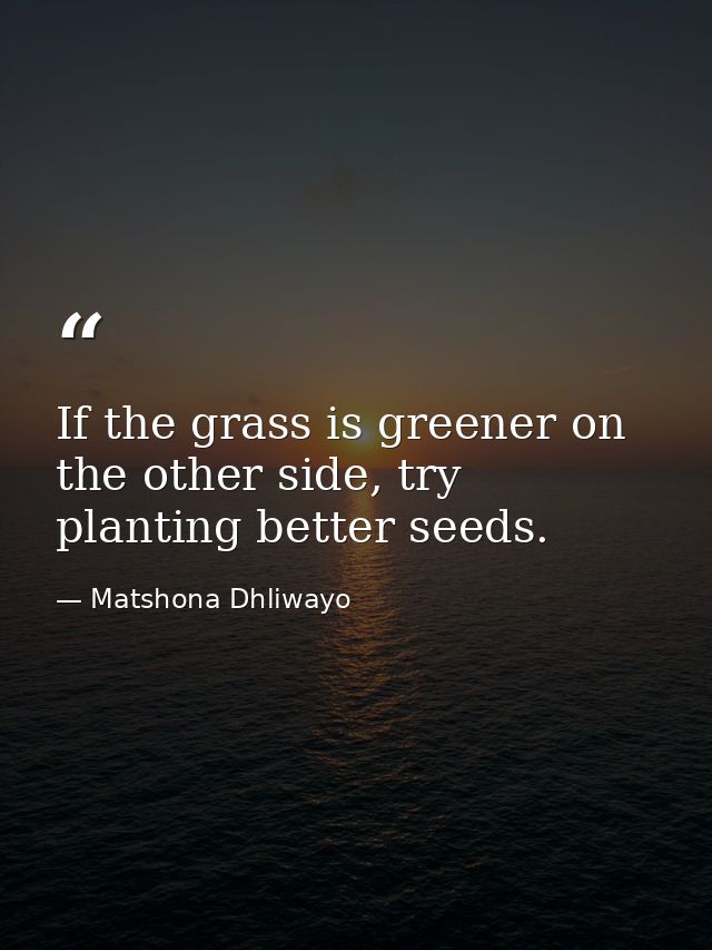 If the grass is greener on the other side, try planting better seeds. — Matshona Dhliwayo