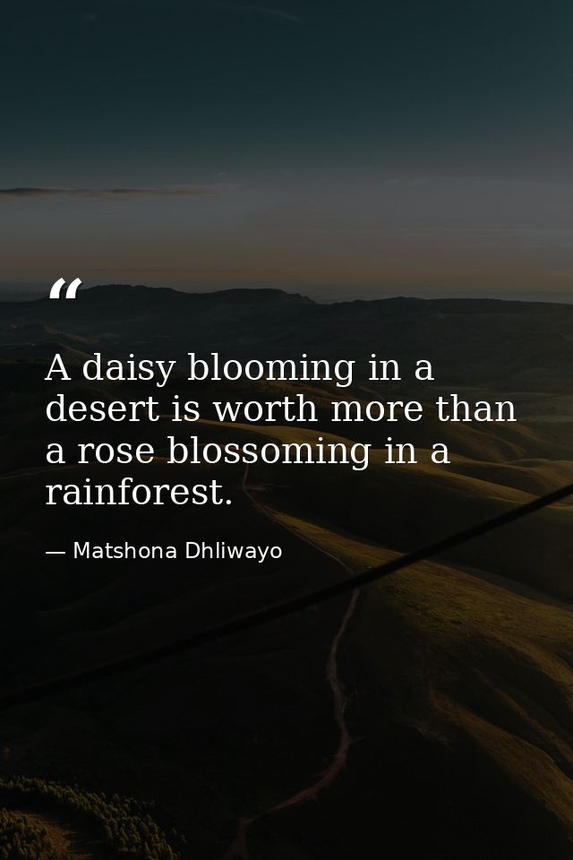 A daisy blooming in a desert is worth more than a rose blossoming in a rainforest. — Matshona Dhliwayo