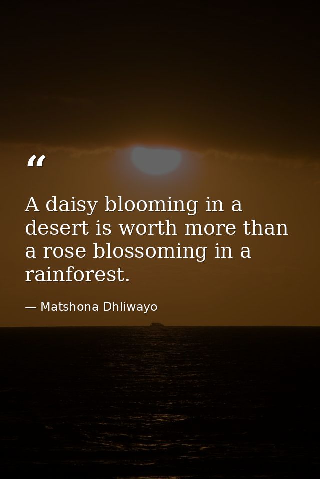 A daisy blooming in a desert is worth more than a rose blossoming in a rainforest. — Matshona Dhliwayo
