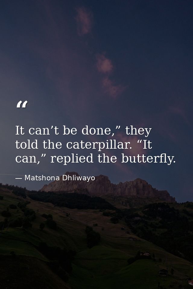 It can’t be done,” they told the caterpillar. “It can,” replied the butterfly. — Matshona Dhliwayo