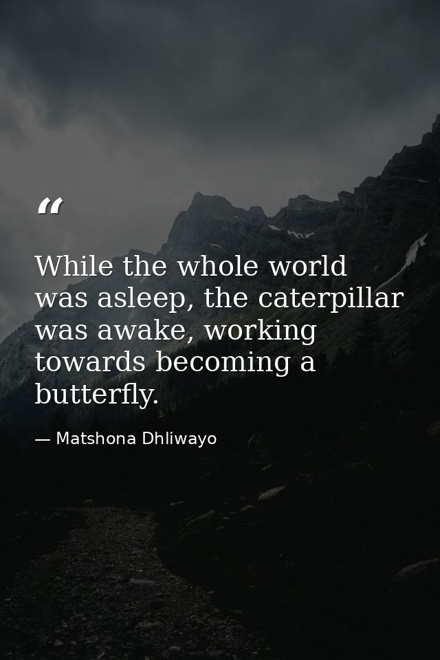 While the whole world was asleep, the caterpillar was awake, working towards becoming a butterfly. — Matshona Dhliwayo