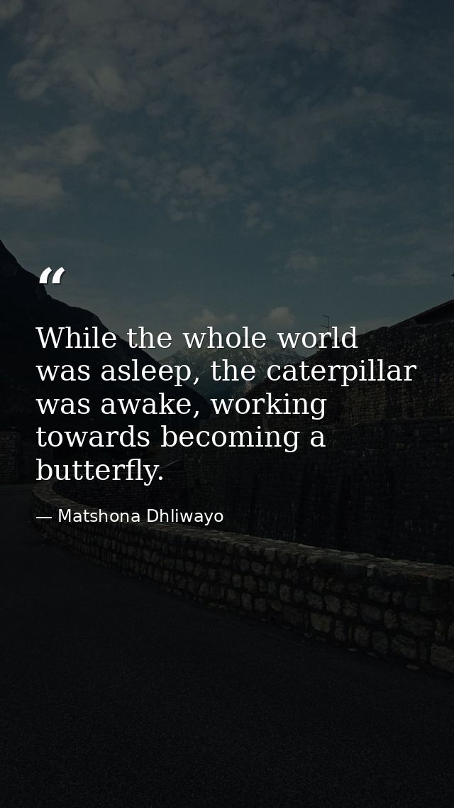 While the whole world was asleep, the caterpillar was awake, working towards becoming a butterfly. — Matshona Dhliwayo