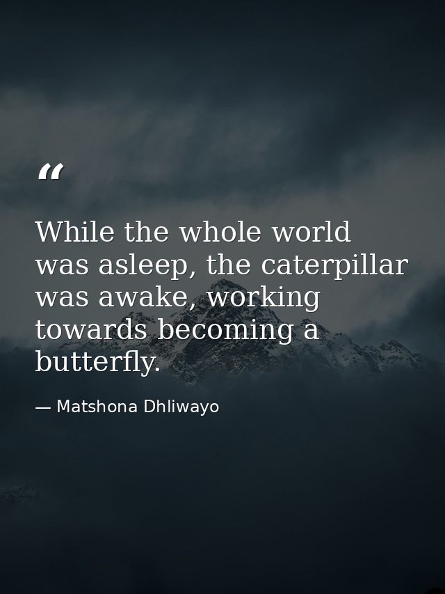While the whole world was asleep, the caterpillar was awake, working towards becoming a butterfly. — Matshona Dhliwayo