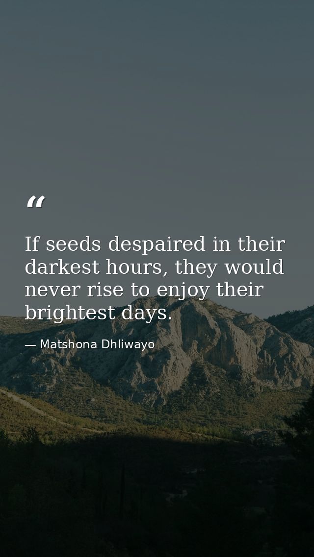 If seeds despaired in their darkest hours, they would never rise to enjoy their brightest days. — Matshona Dhliwayo