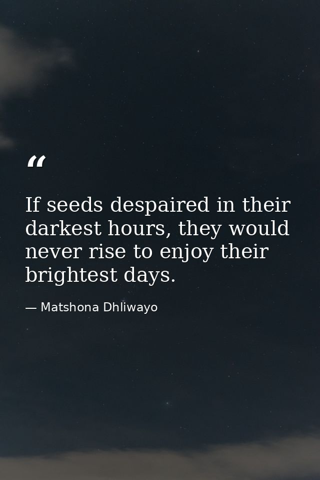 If seeds despaired in their darkest hours, they would never rise to enjoy their brightest days. — Matshona Dhliwayo