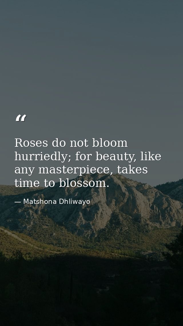 Roses do not bloom hurriedly; for beauty, like any masterpiece, takes time to blossom. — Matshona Dhliwayo