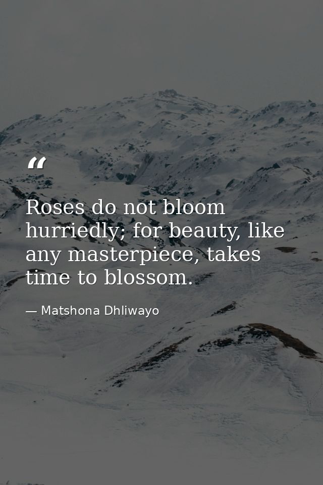 Roses do not bloom hurriedly; for beauty, like any masterpiece, takes time to blossom. — Matshona Dhliwayo