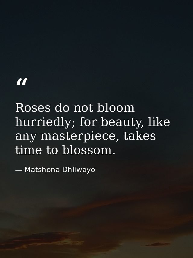 Roses do not bloom hurriedly; for beauty, like any masterpiece, takes time to blossom. — Matshona Dhliwayo