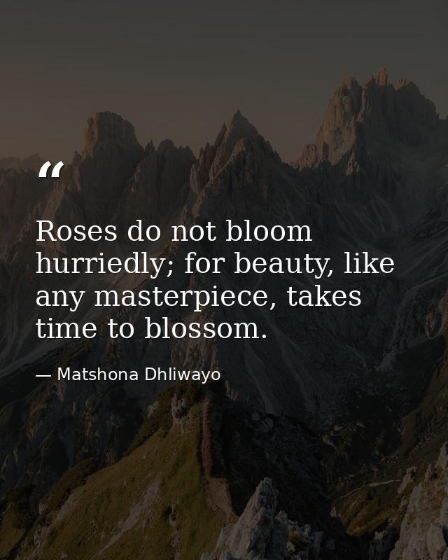 Roses do not bloom hurriedly; for beauty, like any masterpiece, takes time to blossom. — Matshona Dhliwayo