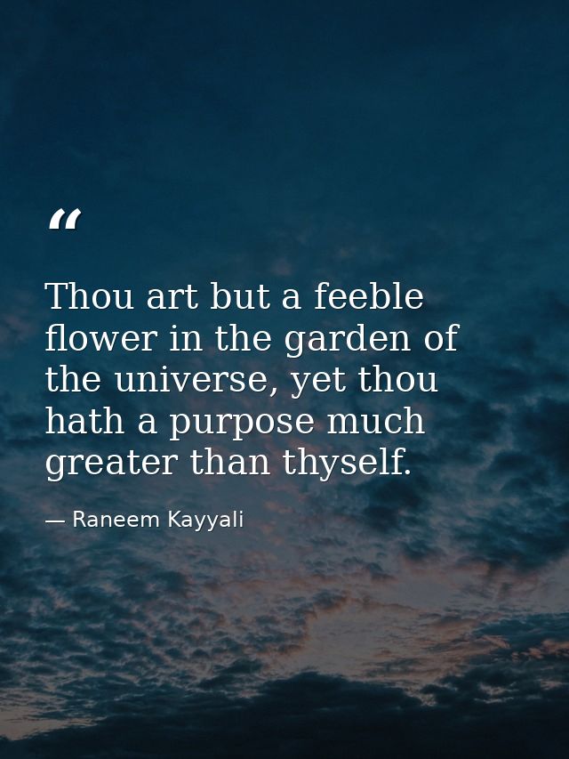 Thou art but a feeble flower in the garden of the universe, yet thou hath a purpose much greater than thyself. — Raneem Kayyali