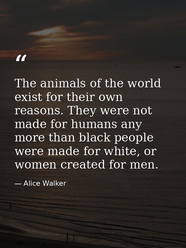 The animals of the world exist for their own reasons. They were not made for humans any more than black people were made — Alice Walker