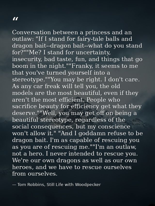 Conversation between a princess and an outlaw: "If I stand for fairy-tale balls and dragon bait--dragon bait--what do yo — Tom Robbins, Still Life with Woodpecker