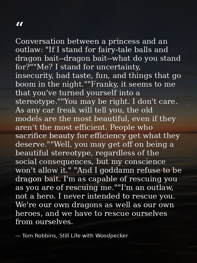 Conversation between a princess and an outlaw: "If I stand for fairy-tale balls and dragon bait--dragon bait--what do yo — Tom Robbins, Still Life with Woodpecker