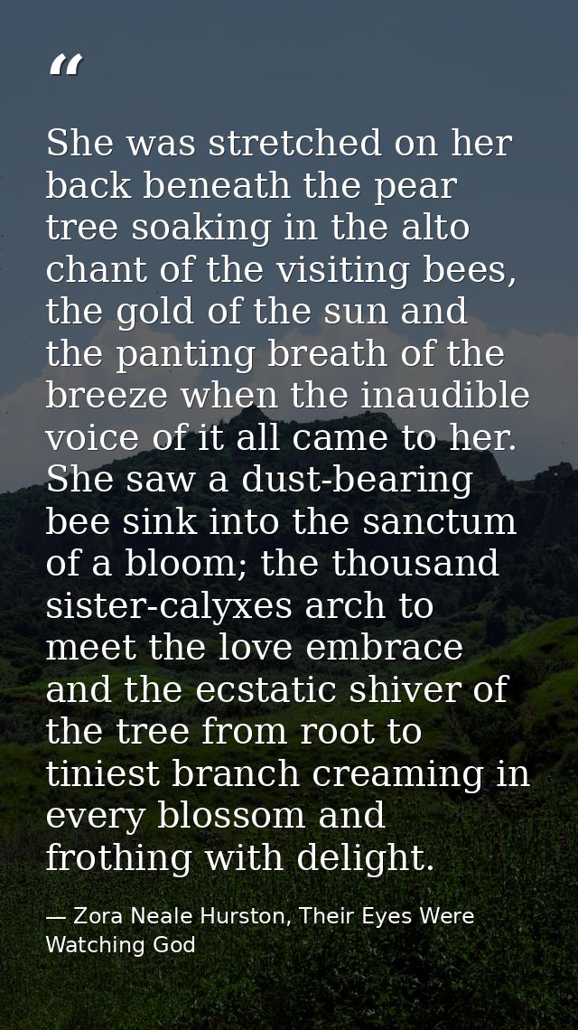 She was stretched on her back beneath the pear tree soaking in the alto chant of the visiting bees, the gold of the sun  — Zora Neale Hurston, Their Eyes Were Watching God