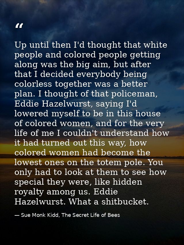 Up until then I'd thought that white people and colored people getting along was the big aim, but after that I decided e — Sue Monk Kidd, The Secret Life of Bees