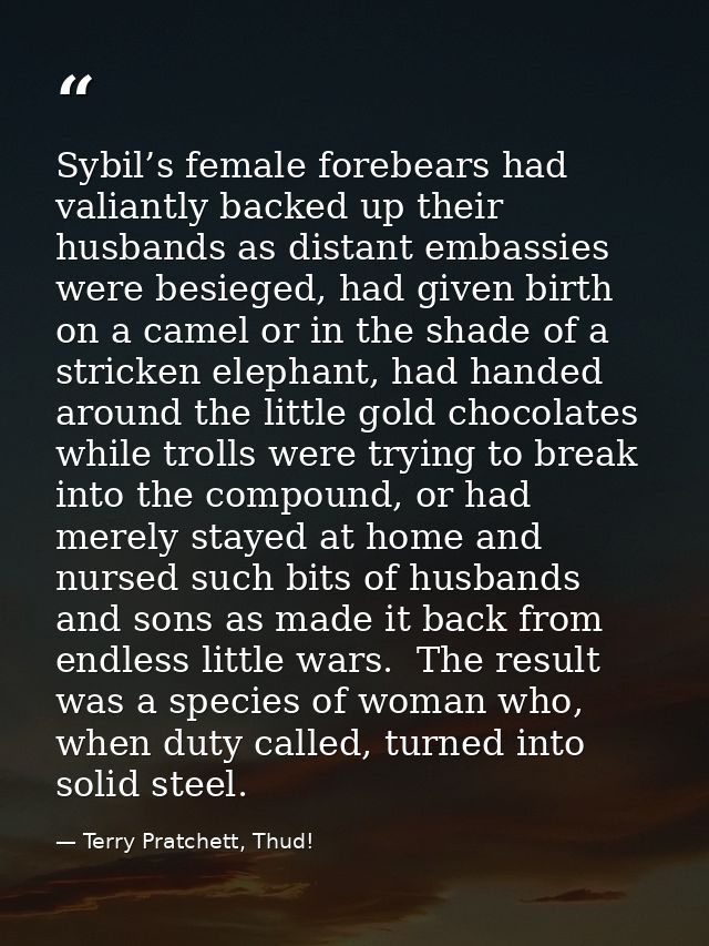 Sybil’s female forebears had valiantly backed up their husbands as distant embassies were besieged, had given birth on a — Terry Pratchett, Thud!
