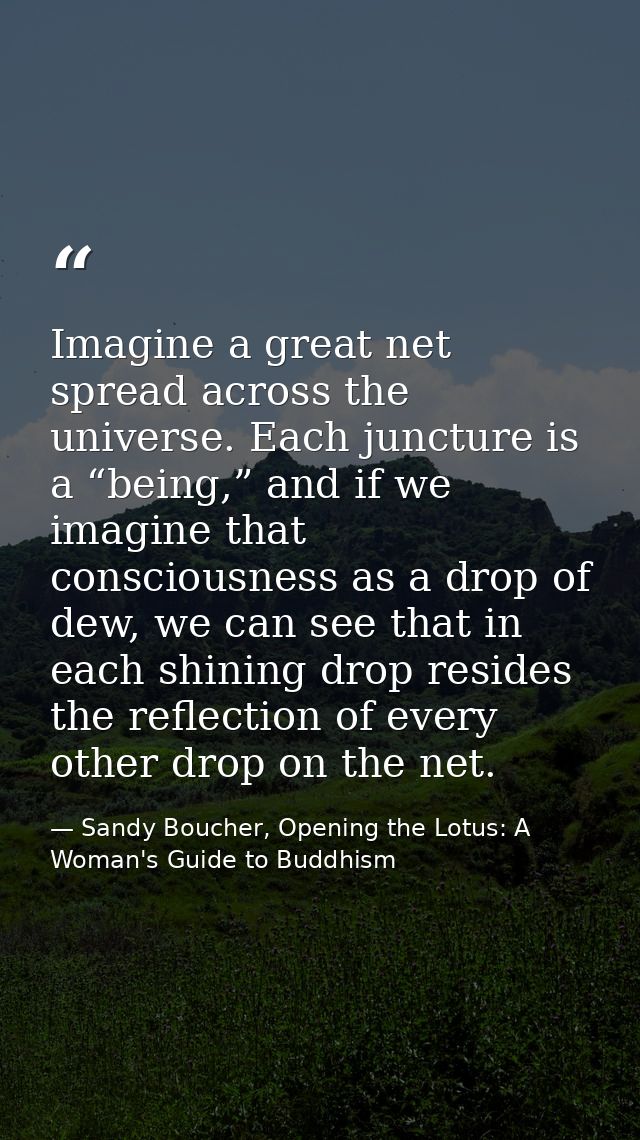 Imagine a great net spread across the universe. Each juncture is a “being,” and if we imagine that consciousness as a dr — Sandy Boucher, Opening the Lotus: A Woman's Guide to Buddhism