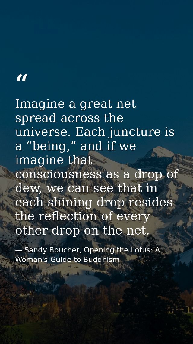 Imagine a great net spread across the universe. Each juncture is a “being,” and if we imagine that consciousness as a dr — Sandy Boucher, Opening the Lotus: A Woman's Guide to Buddhism