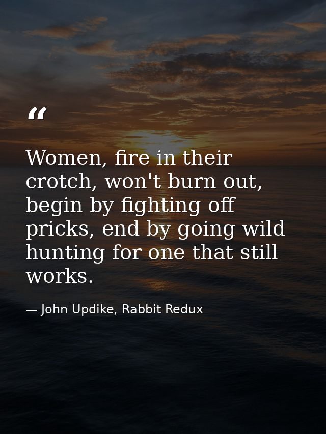 Women, fire in their crotch, won't burn out, begin by fighting off pricks, end by going wild hunting for one that still  — John Updike, Rabbit Redux