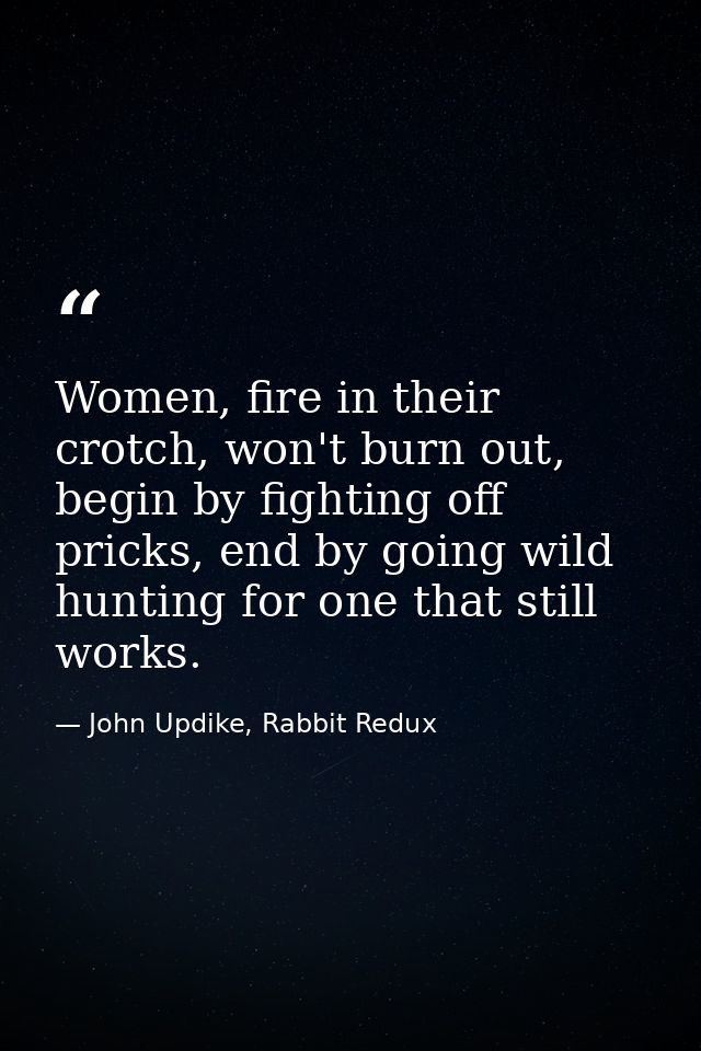 Women, fire in their crotch, won't burn out, begin by fighting off pricks, end by going wild hunting for one that still  — John Updike, Rabbit Redux
