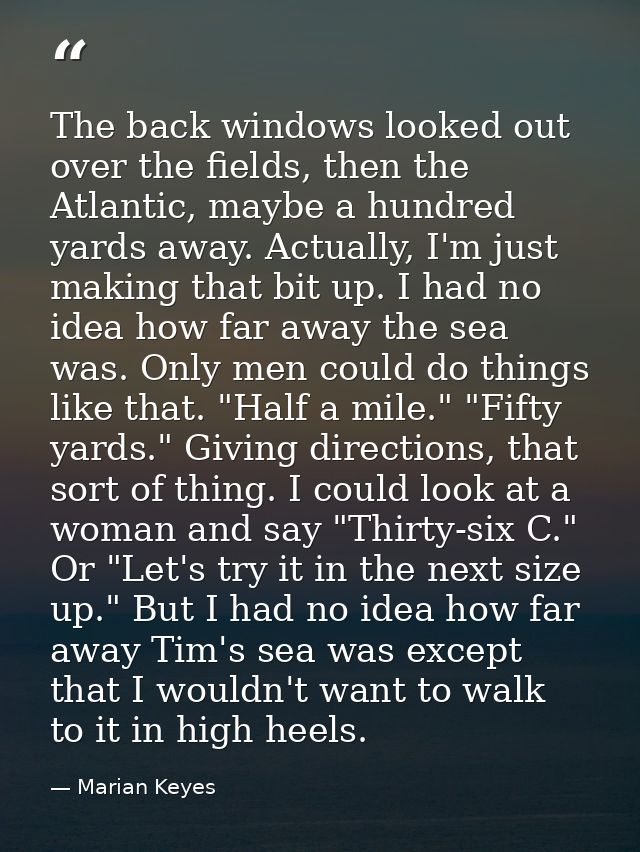 The back windows looked out over the fields, then the Atlantic, maybe a hundred yards away. Actually, I'm just making th — Marian Keyes