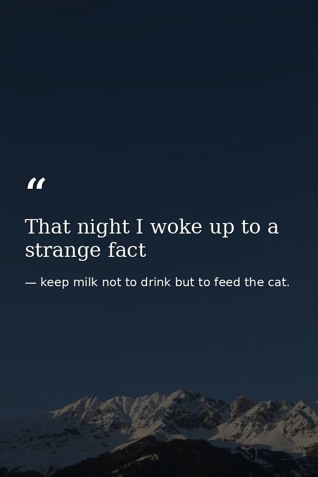 That night I woke up to a strange fact — keep milk not to drink but to feed the cat.