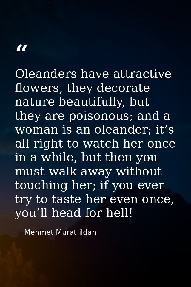 Oleanders have attractive flowers, they decorate nature beautifully, but they are poisonous; and a woman is an oleander; — Mehmet Murat ildan