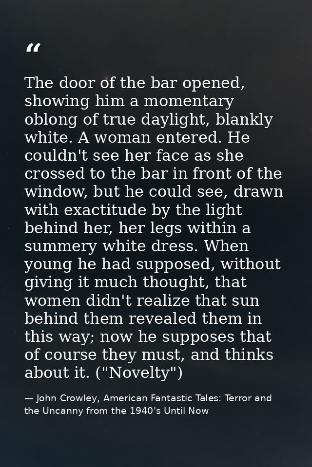 The door of the bar opened, showing him a momentary oblong of true daylight, blankly white. A woman entered. He couldn't — John Crowley, American Fantastic Tales: Terror and the Uncanny from the 1940's Until Now
