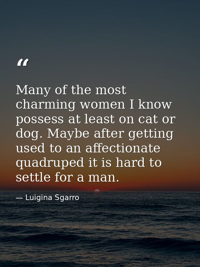 Many of the most charming women I know possess at least on cat or dog. Maybe after getting used to an affectionate quadr — Luigina Sgarro