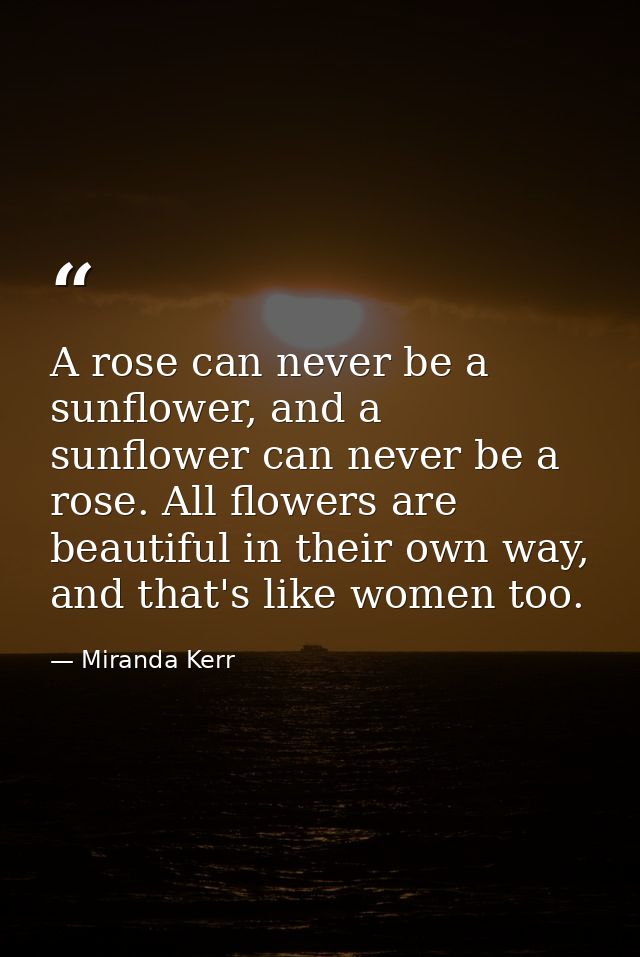 A rose can never be a sunflower, and a sunflower can never be a rose. All flowers are beautiful in their own way, and th — Miranda Kerr