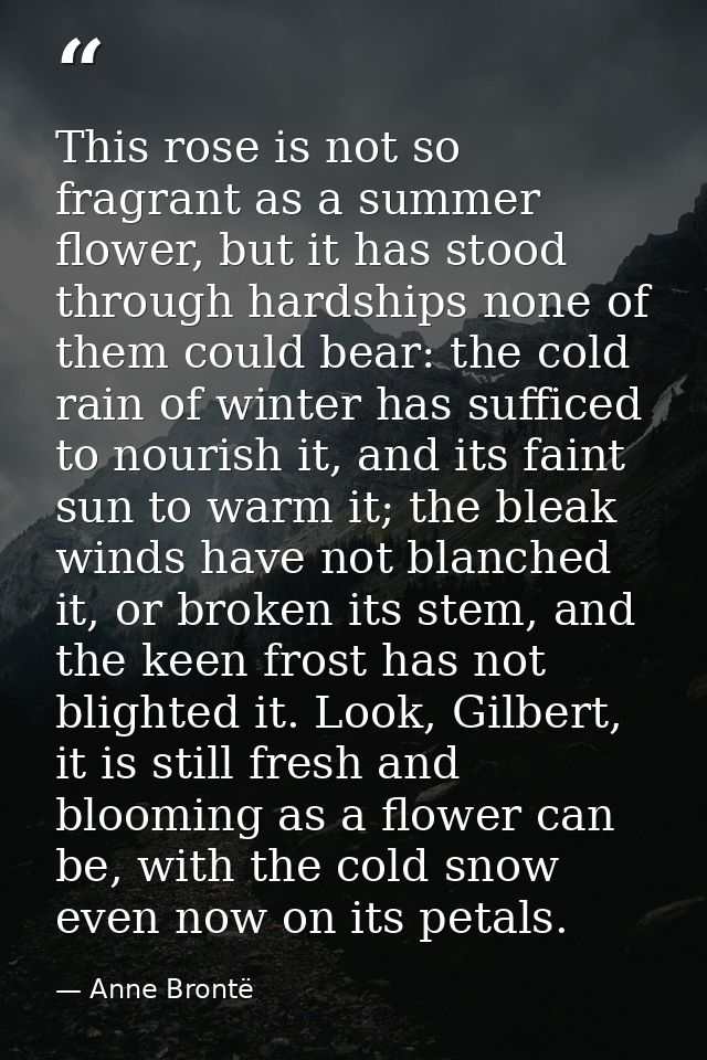 This rose is not so fragrant as a summer flower, but it has stood through hardships none of them could bear: the cold ra — Anne Brontë