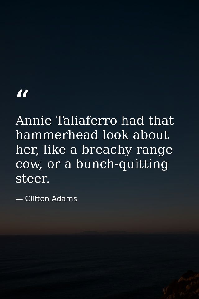 Annie Taliaferro had that hammerhead look about her, like a breachy range cow, or a bunch-quitting steer. — Clifton Adams