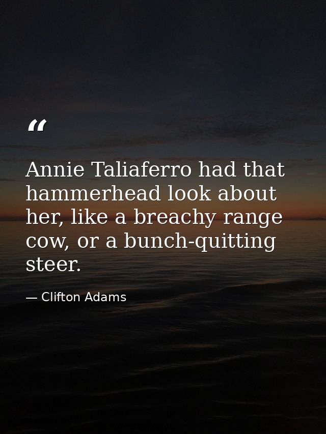 Annie Taliaferro had that hammerhead look about her, like a breachy range cow, or a bunch-quitting steer. — Clifton Adams