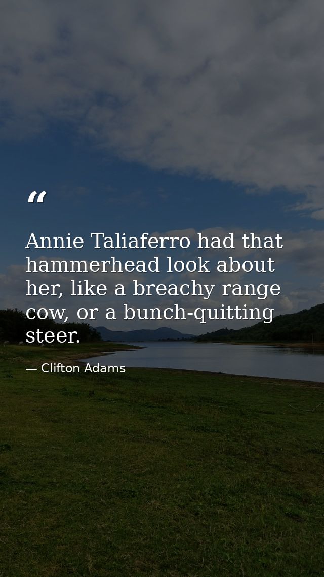 Annie Taliaferro had that hammerhead look about her, like a breachy range cow, or a bunch-quitting steer. — Clifton Adams